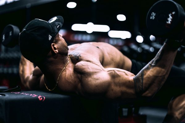 Gunakan Chest Press